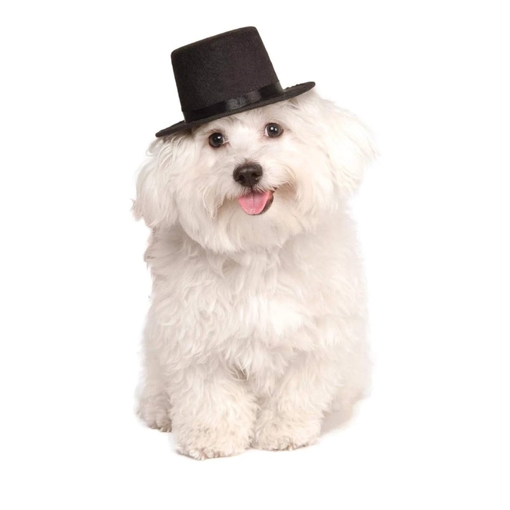 Stylish Black Dog Top Hat Size OS